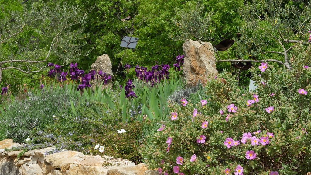 Les Hauts Des Materonnes Tourves Kültér fotó